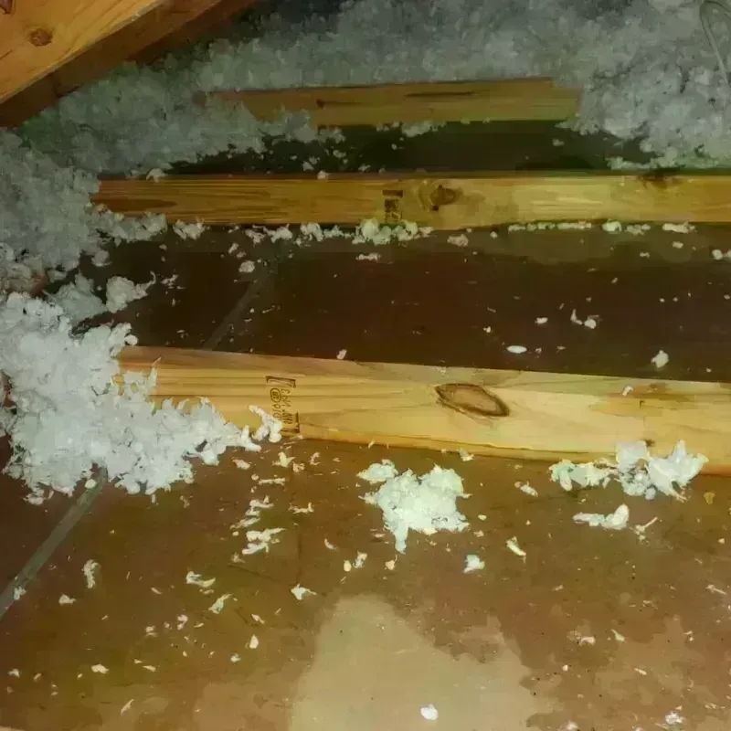 Attic Water Damage in Bostonia, CA